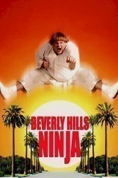 Beverly Hills Ninja (Film 1997)