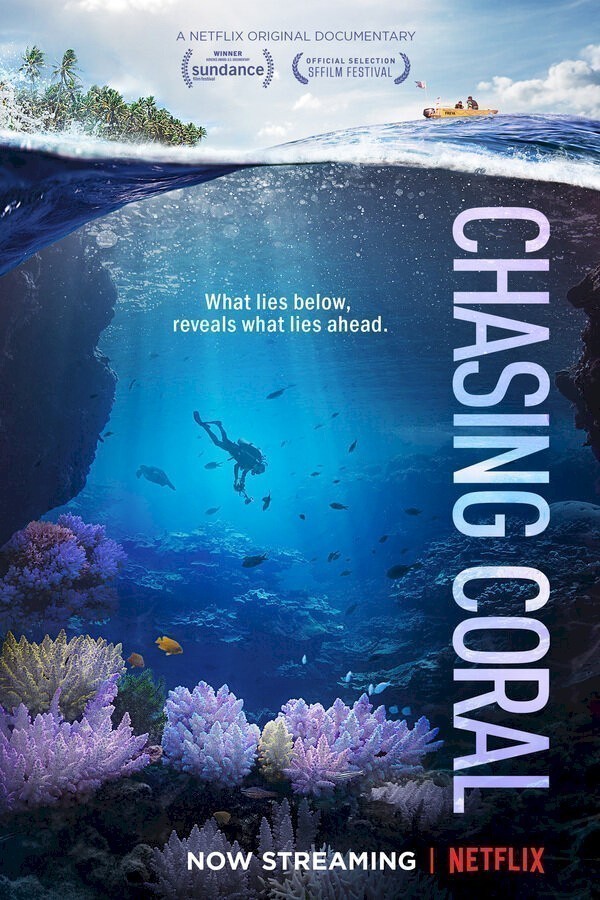 Chasing Coral image