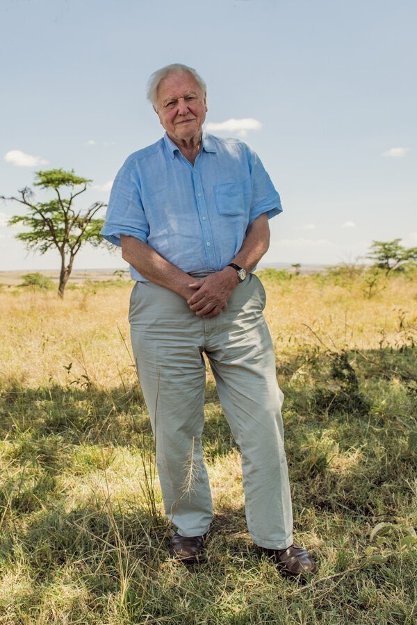 David Attenborough: A Life on Our Planet image