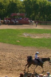 De Paardenzomer