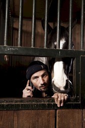 Een paard op het balkon
