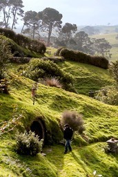 Looking for the Hobbit image