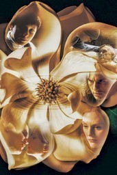 Magnolia
