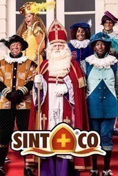 Sint en co: De verdwenen sleutel image