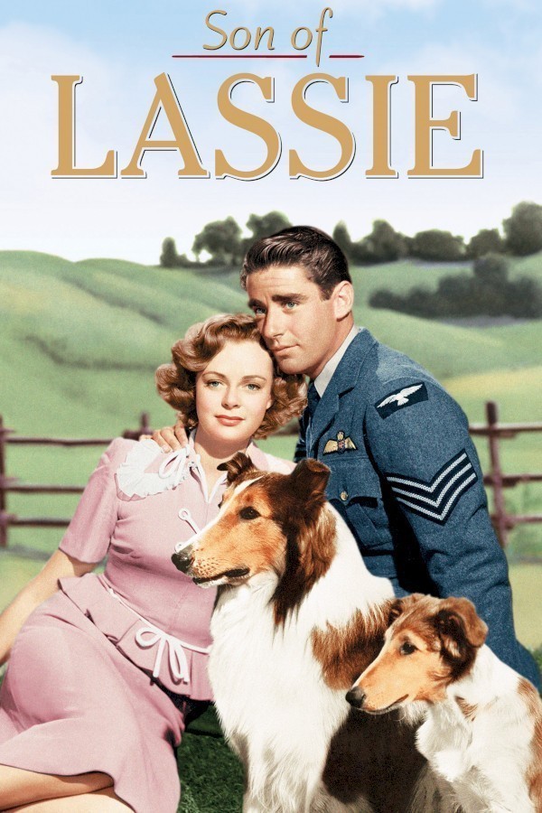 Son of Lassie image
