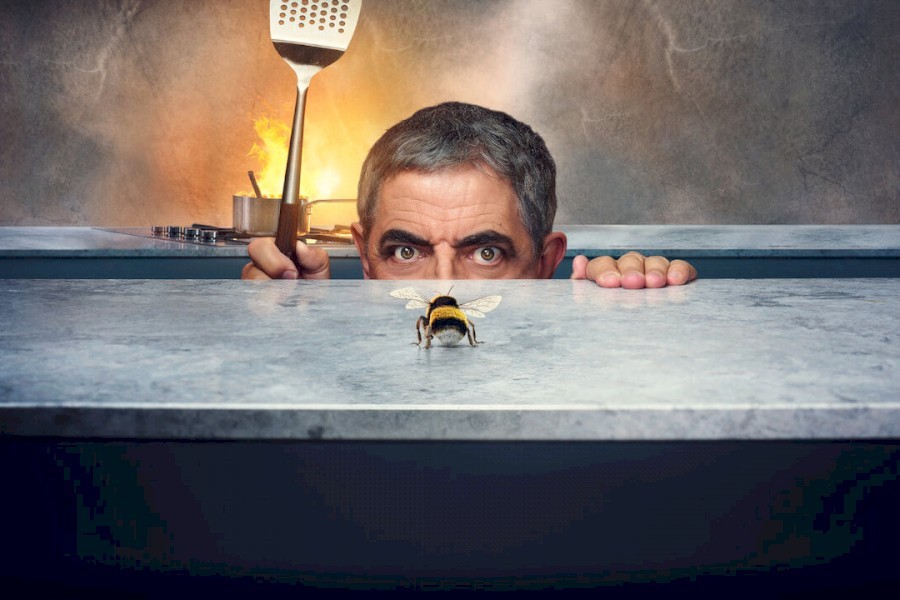 Man vs Bee image