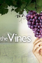 Love on the Vines