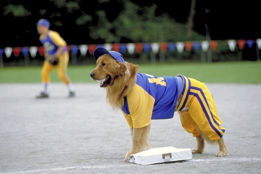 Air Bud: Seventh Inning Fetch image
