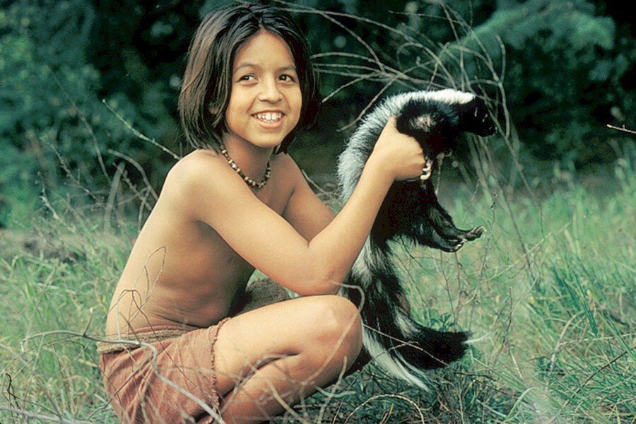 The Jungle Book: Mowgli's Story image