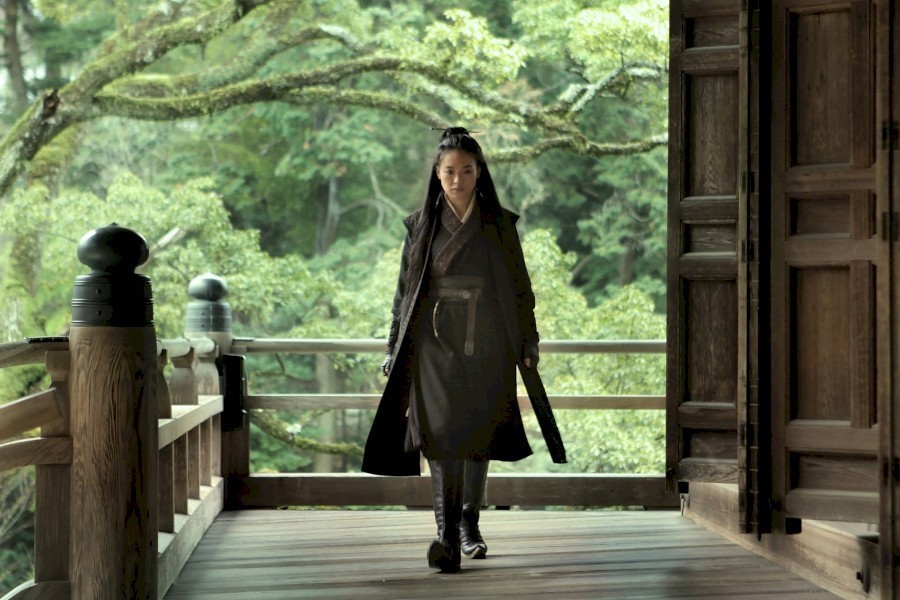 The Assassin image
