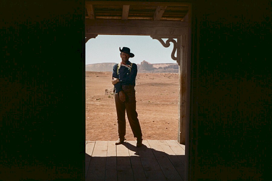 The Searchers image