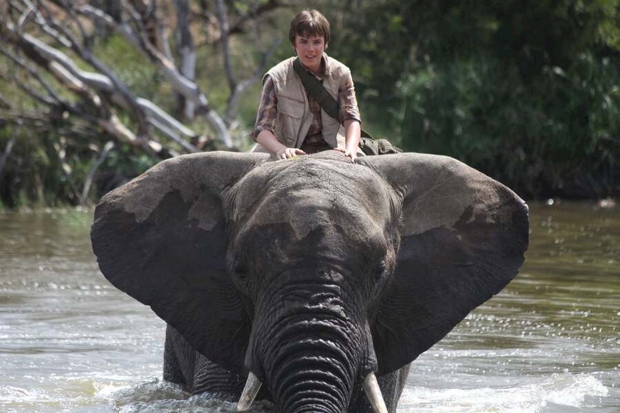 Against the Wild 3: The Great Elephant Adventure image