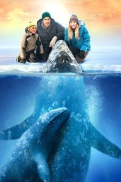 Big Miracle