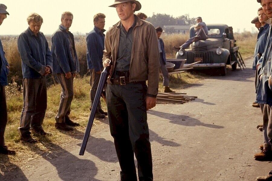 Cool Hand Luke image