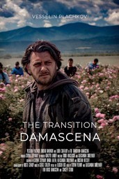 Damascena: The transition