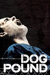 Dog Pound
