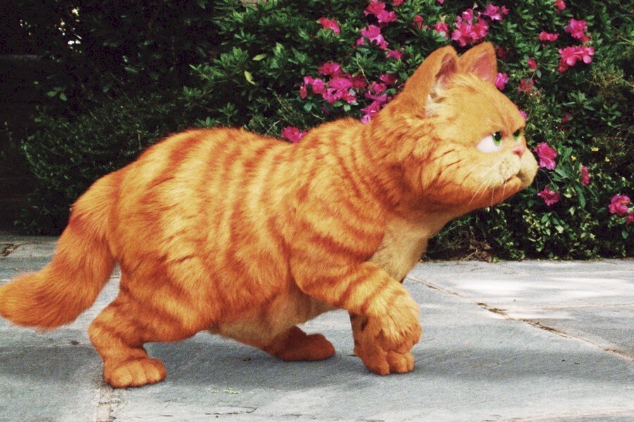 Garfield: A Tail of Two Kitties image