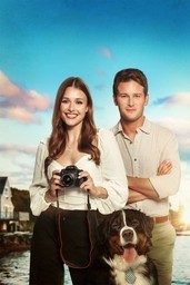 Picture Perfect Romance