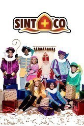 Sint en co: Het verdwenen boek