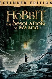 The Hobbit: The Desolation of Smaug (Extended Edition)