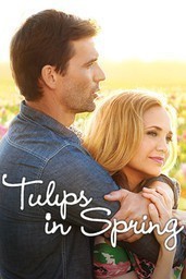 Tulips in Spring