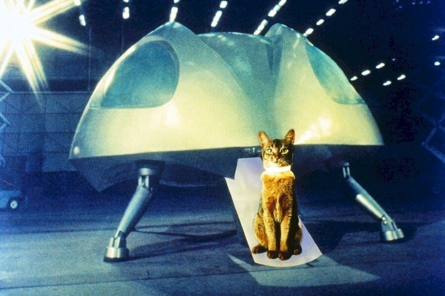 The Cat from Outer Space image