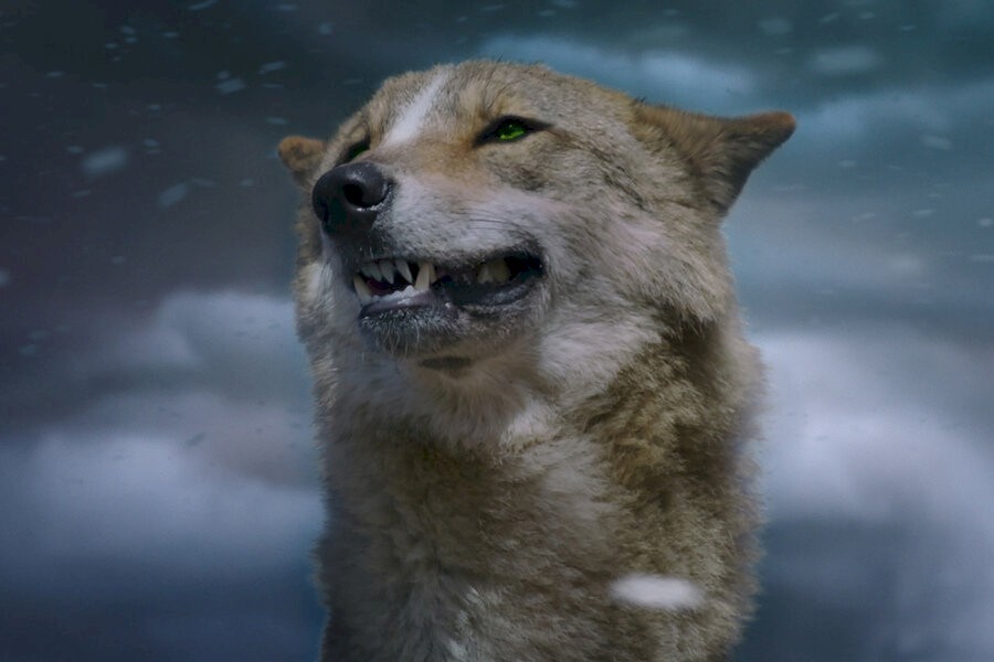 The Last Wolf image