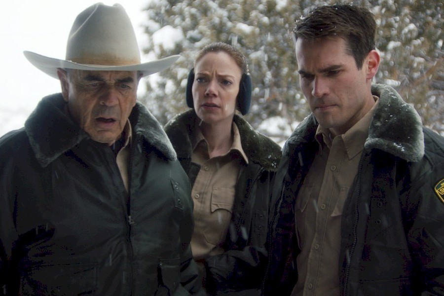 The Wolf of Snow Hollow image