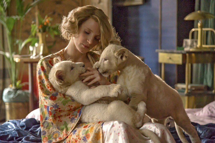 The Zookeeper's Wife image