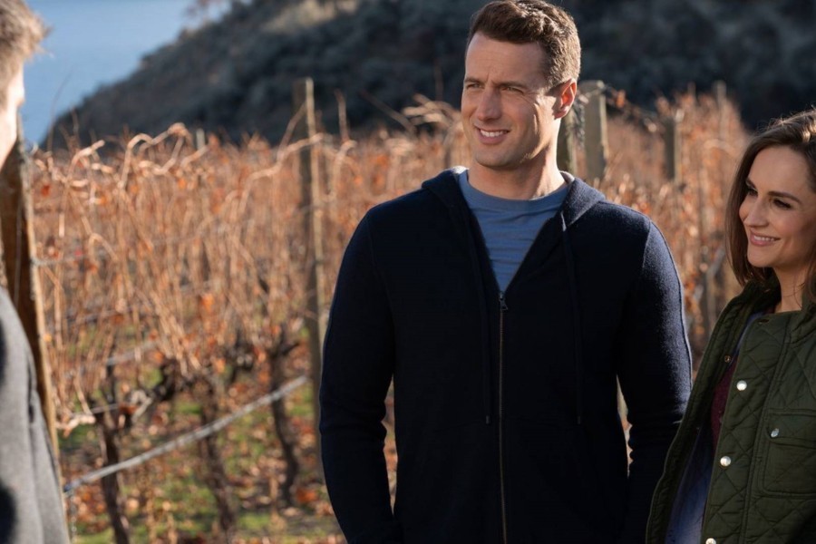 Valentine in the Vineyard image
