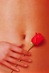 American Beauty