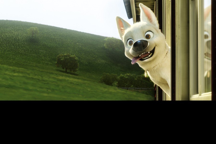 Bolt image