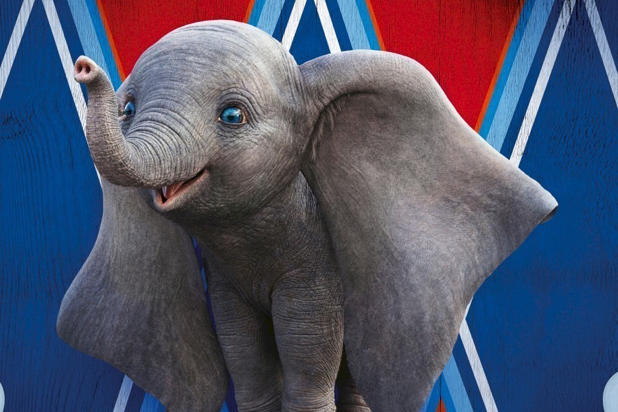 Dumbo image