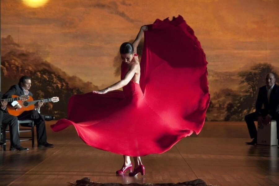 Flamenco, Flamenco image