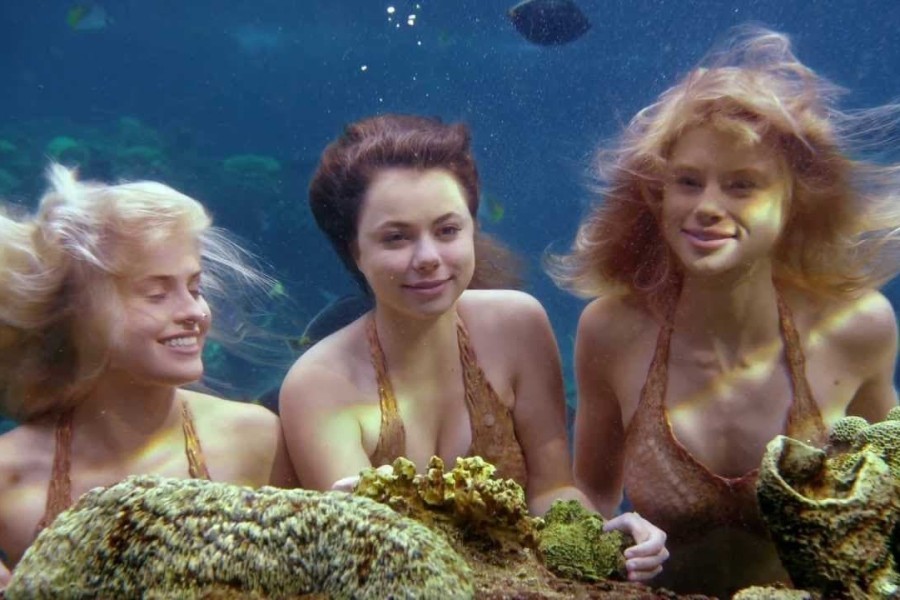 Mako Mermaids: An H2O Adventure image