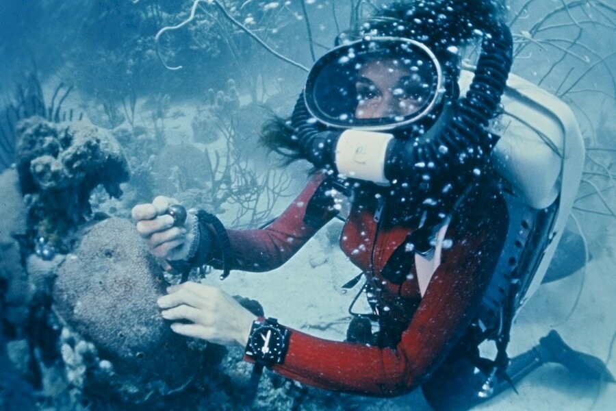 Mission Blue image