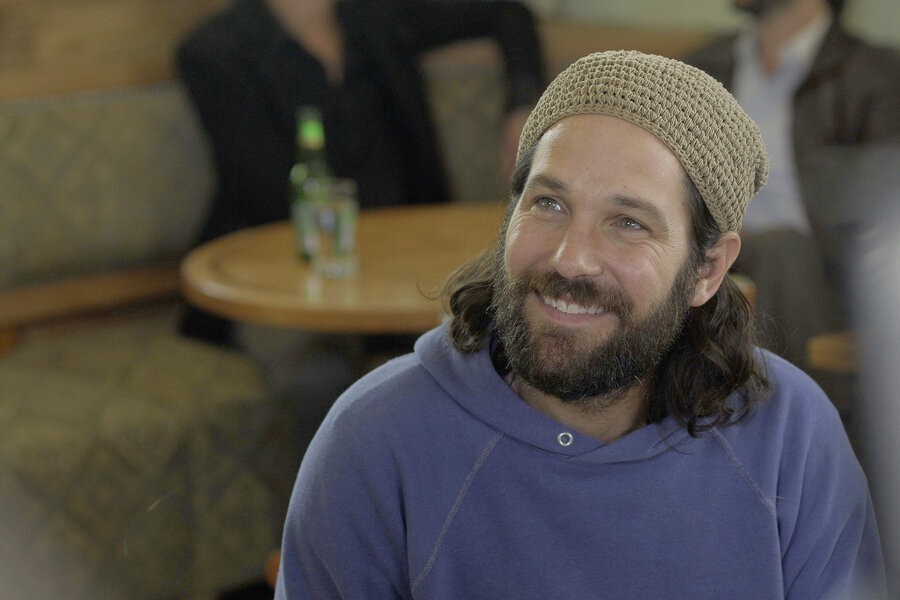 Our Idiot Brother image