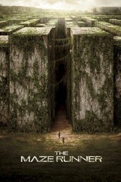 The Maze Runner