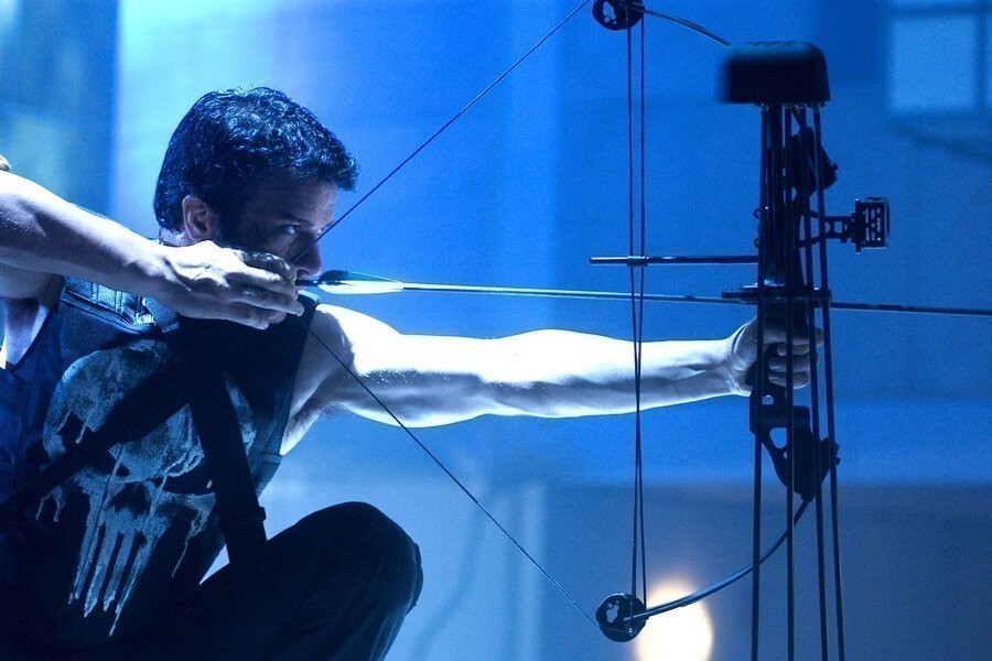 The Punisher image