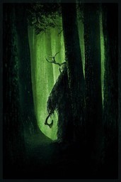 Wrong Turn